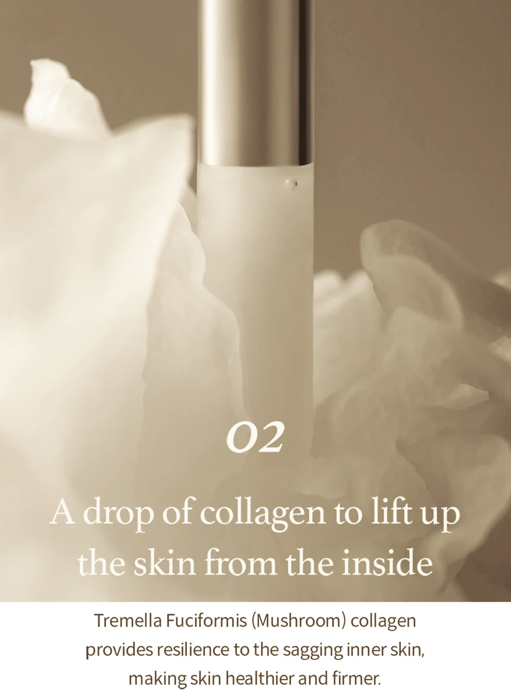 Mushroom Collagen Ampoule (30ml) - Image 9